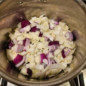 onions and garlic in the pan