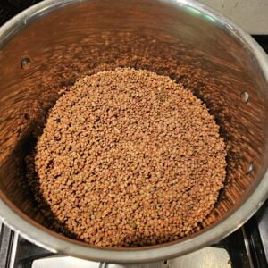 brown whole lentils ready to cook