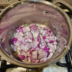 onions & garlic sauting